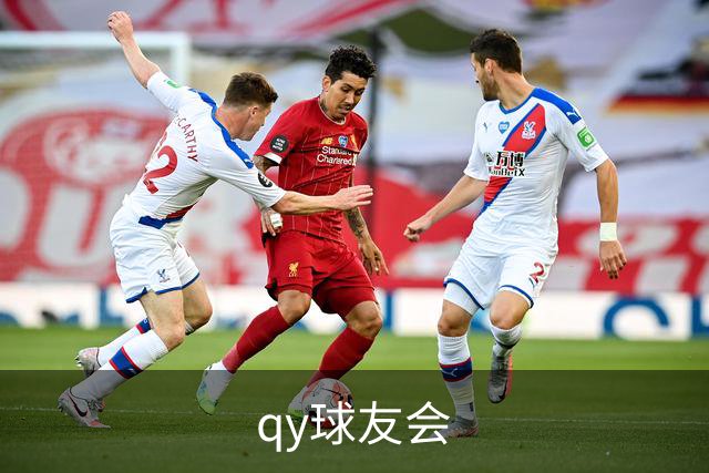 关于qy球友会